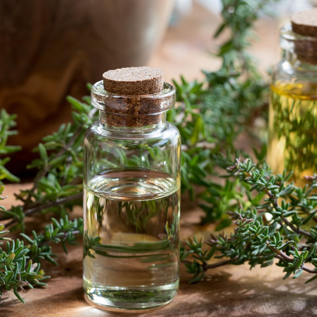 Thyme essential outlet oil